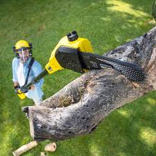 Best Soil Testing and Treatment  in American Fork, UT