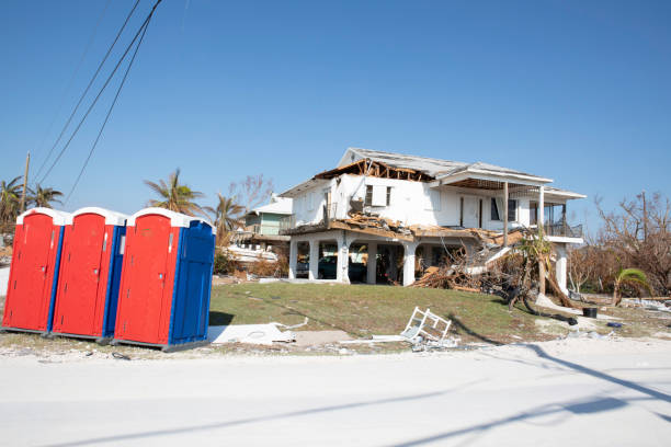  American Fork, UT Tree Removal Pros